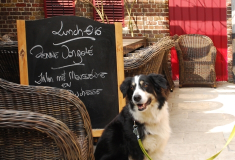 ASLAN_CR_62_selbstklebend_raue_Tafel_Kreide_4