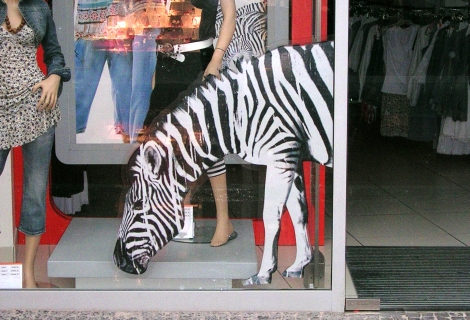 ASLAN_CT_114selbstklebend_opak_farbig_8